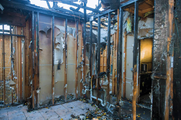 Professional Fire Damage Removal technician working in Glassport, PA